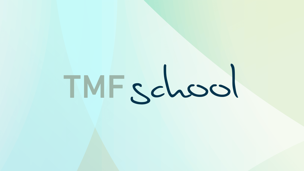 TMF-School 2025