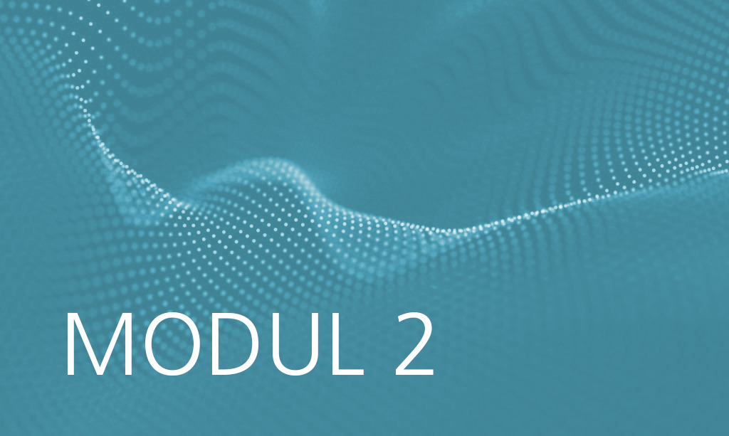 Modul 2