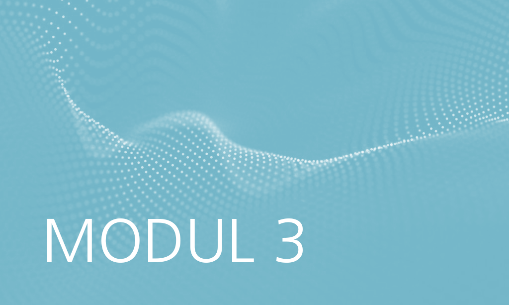 Modul 3
