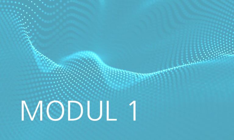 Modul 1